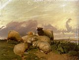 Thomas Sidney Cooper Sheep In Canterbury Water Meadows painting